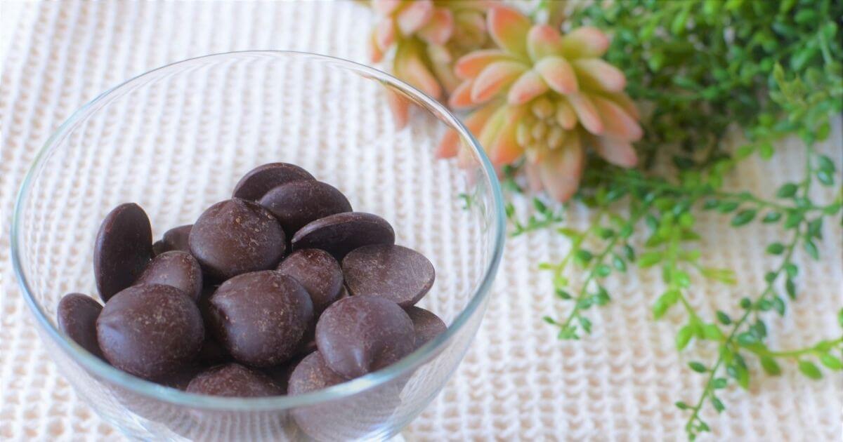 【インコのチョコレート中毒】インコに危険!チョコの2つの成分と対処法